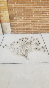 C Jere Pom Pom Flowering Bush Wall Sculpture , Signed ! EX NM MCM Atomic