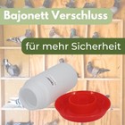 Bild 7 von 8
