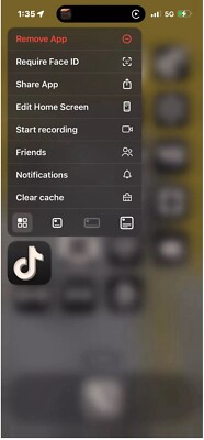 iPhone 14 Pro Max 128gb with TikTok & CapCut