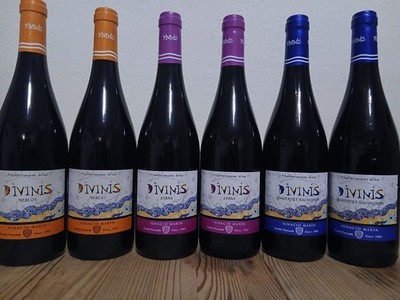 (7,33/1L.) 6 Fl. Bodegas Ignacio Marin Divinis Probierpaket Merlot Syrah Caberne