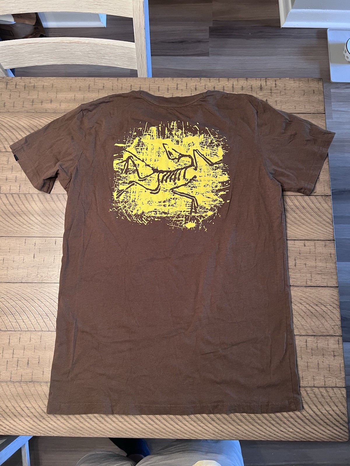 T shirt Arc'Teryx grande logo giallo marrone manica corta donna media