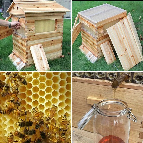 Self-flowing Beehive Wooden Bee Box Automatic Bee 7pcs Bee Nest Honey Selectable - Picture 6 of 20