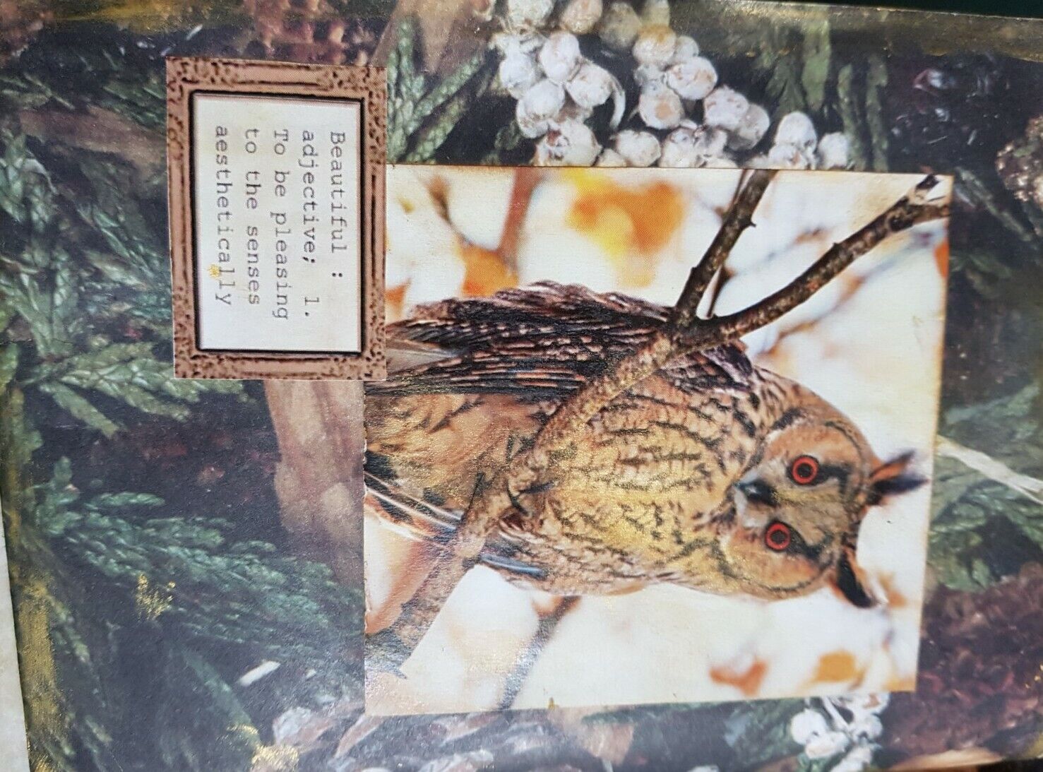 Picture 4 of 7
