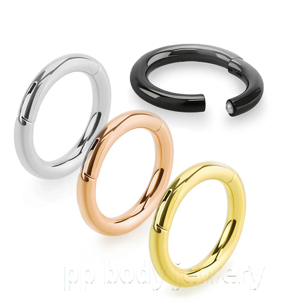 PAIR Large Gauge Hinged Clicker Segment Ring PVD Surgical Steel Earrings Septum - Image 3 of 4