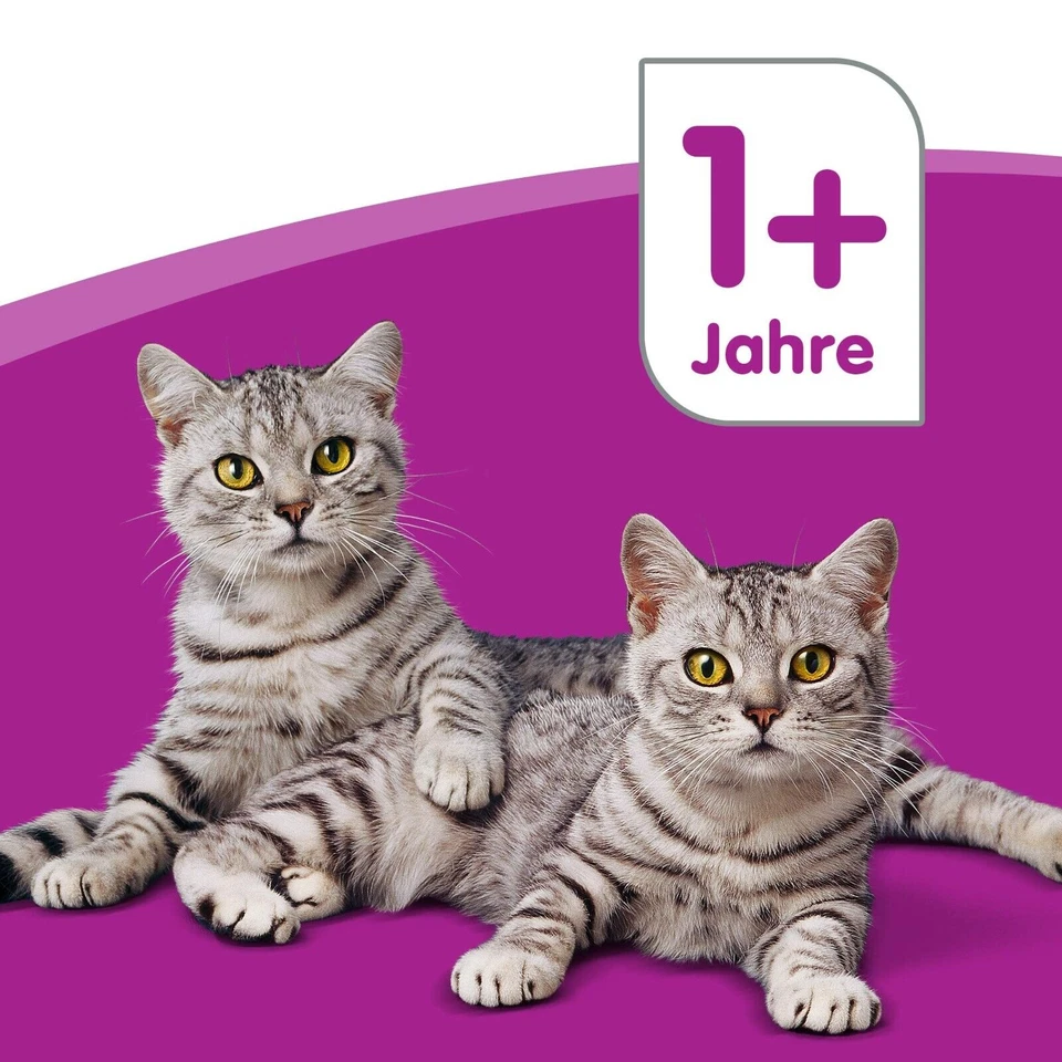 WHISKAS 96 x 85g Katzenfutter Nass Fleisch & Geflügel MIX in Sauce - Bild 4 von 4