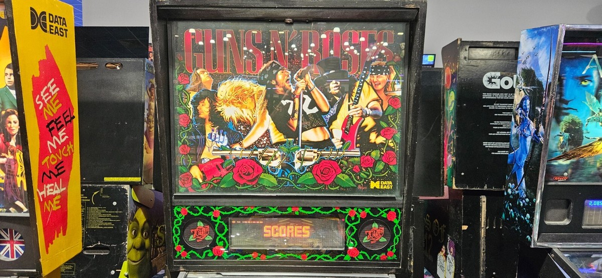 Topper Flipper Guns N' Roses – Data East – Générique – Occasion
