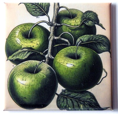 Green Apple FRIDGE MAGNET ''style C''