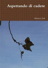 Aspettando Di Cadere by Moreno Zoli (Italian) Paperback Book