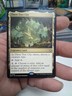 Three Tree City Bloomburrow Regular