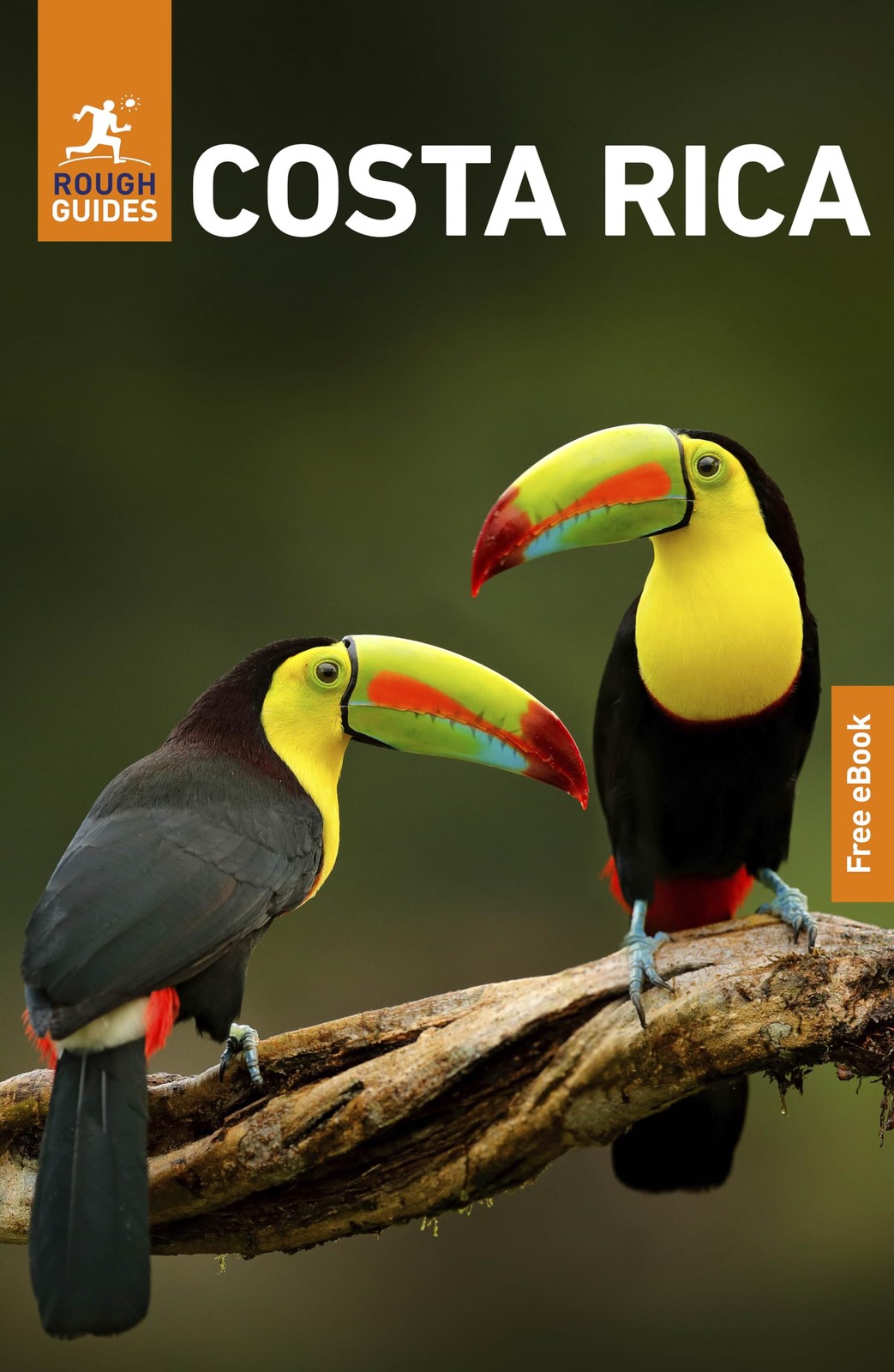Rough Guides Paul Staf Rough Guides Costa Rica: Travel Guide with e (Tascabile)