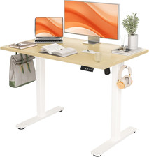 Adjustable Electric Standing Desk 40x24 Inch for Home Office Studio