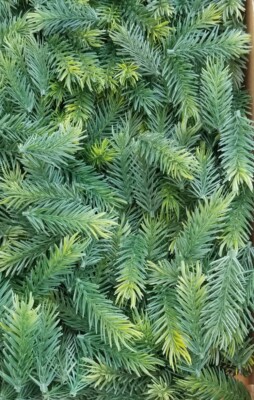 100 pcs Pine Branches Artificial Green Home Party Decorations Art Craft. UF14