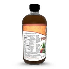 Aloe and Cactus Pear Probiotic Elixir w/ Kombucha Tea