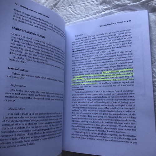 Culturally Responsive Teaching & the Brain: Promoting Authentic Engag…Pre-Owned - Picture 12 of 24