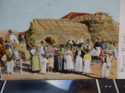 BAUERNERNTE HEUBALLEN RICKS LANDWIRTSCHAFT TENERIFFA POSTKARTE 