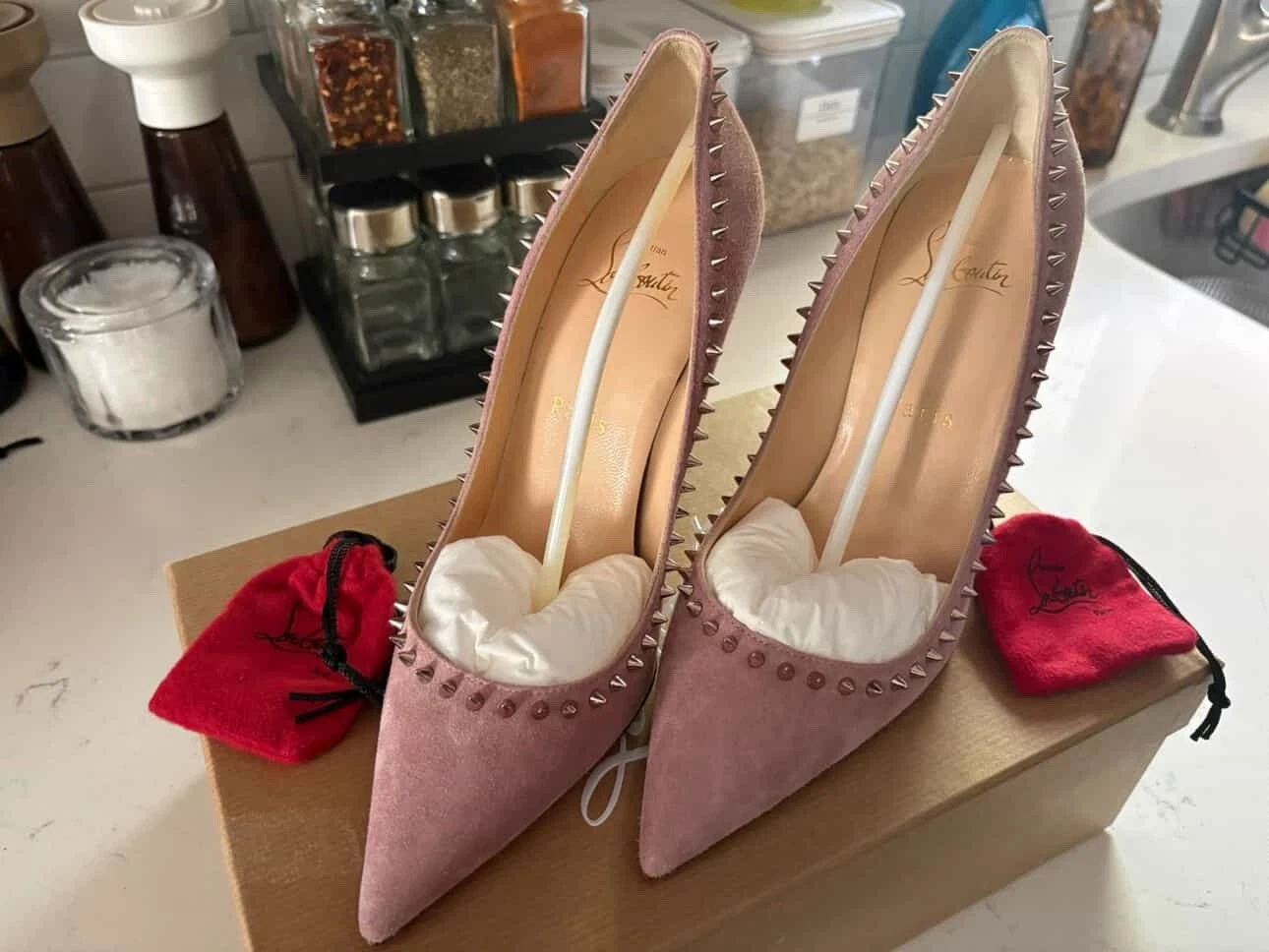 Christian Louboutin — Christian Louboutin ANJALINA 100 VEAU VELOURS- Size 6