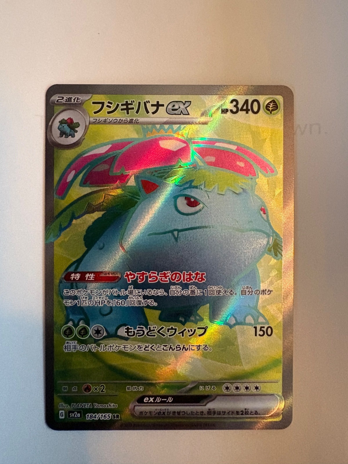 NM CLEAN Japanese Venusaur ex 184/165 Sv2a: Pokemon Card 151 Holo
