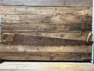 1800s-1910s Disston, Warranted Superior, Two-Man Lumberjack Saw, 52''