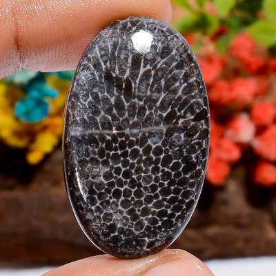 Authentic Stingray Coral Oval Shape Cabochon Loose Gemstone 38 Ct. 35X21X5 mm