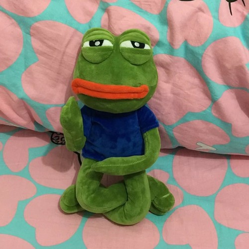 Popular 18 inch Frog Pepe Sad Frog Plush 4chan Meme Doll