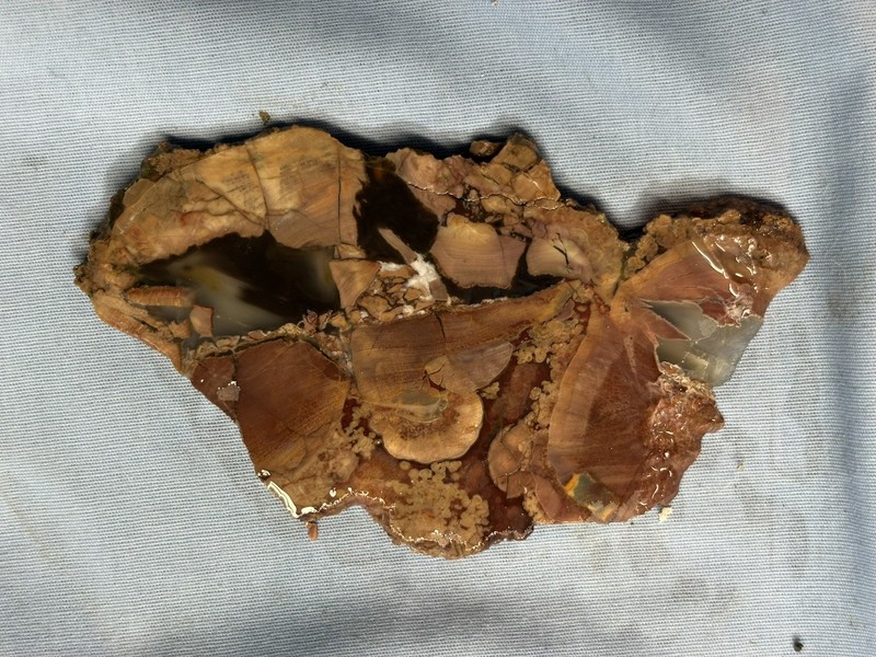 Slab Of Obicular  Jasper