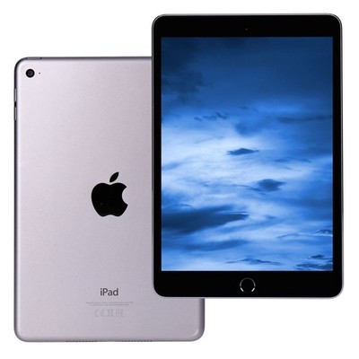 Apple iPad mini (2015) 4. Generation WiFi 128GB Space Grau iOS Tablet gut