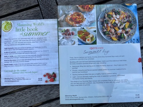 2 Abnehmwelt Bücher Kleines Buch des Sommers & extra einfache Sommertage - Bild 2 von 9