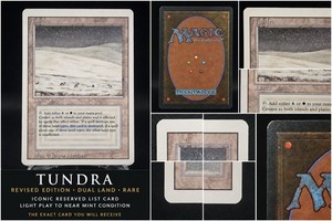 Revised Tundra | eBay