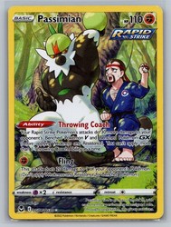 Passimian TG08/TG30 Silver Tempest Trainer Gallery Ultra Rare Holo