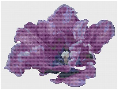 Kreuzstichmuster Von Florashell - Lila Gebänderter Tulpenblume