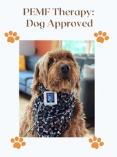 Pet, Dog & Cat PEMF Magnetic Therapy Device: VIBE 60 Protocols (Latest Model)