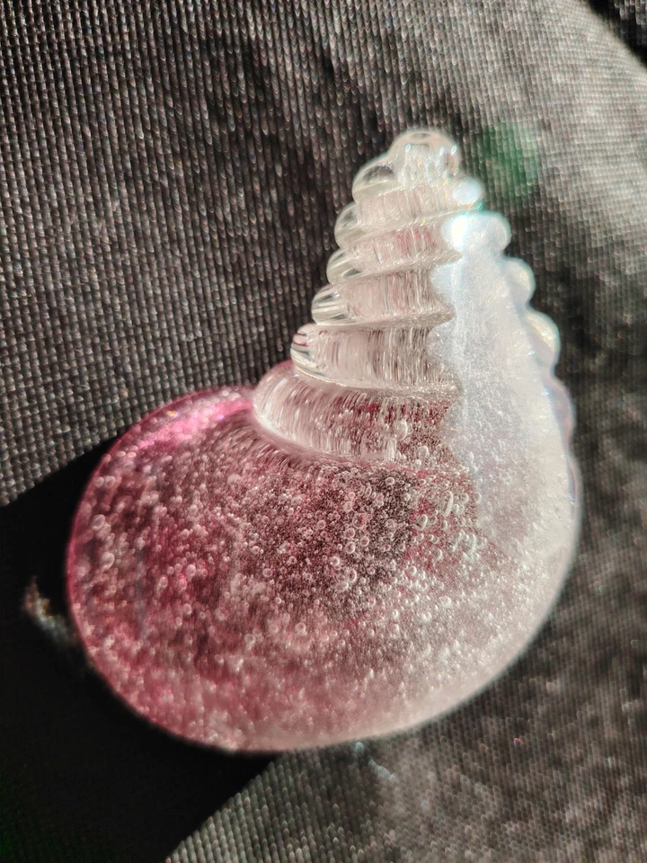 Murano Glass Sea Shell Archemide Seguso. - Image 4 of 4