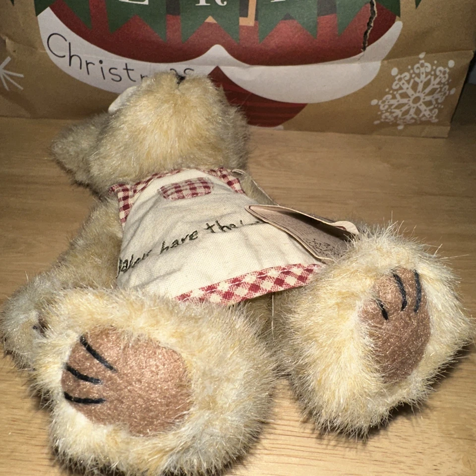 Boyds Bears COOKIE BEARCHILD Peluche 8" Oso Articulado Delantal y Sombrero de Chef Nuevo con Etiquetas Foto 2 de 4