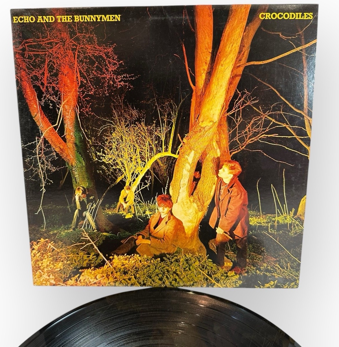 米LP Echo &amp;amp; The Bunnymen Crocodiles SRK6096 SIRE /00260 LP ECHO & THE BUNNYMEN Crocodiles SRK6096 SIRE US Vinyl | eBay