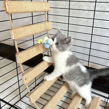 40in Cat Climbing Ladder & Bridge Cat Wall Furniture Sisal Rope Pet Toys PN