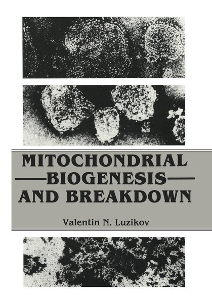 Mitochondrial Biogenesis And Breakdown Valentin Luzikov-image