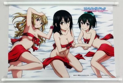 Tapestry Yukina Nagisa Asagi A2 Strike The Blood