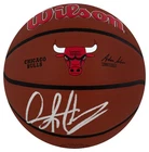 Dennis Rodman Signed Bulls Logo Wilson Alliance NBA Basketball - (SCHWARTZ COA)