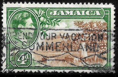 Bristols VALE 25y ジャマイカラマム Bristols VALE 25y ジャマイカラ