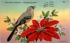 Florida, Tichnor Bros., Inc., Boston, Winona, Minn., Morriston Postcard