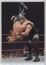 1998 Comic Images WWF Superstarz D'Lo Brown #24 17qj