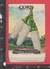 E950 Card Seed Co Black Mexican Corn unused packet Fredonia NY maize vegetable