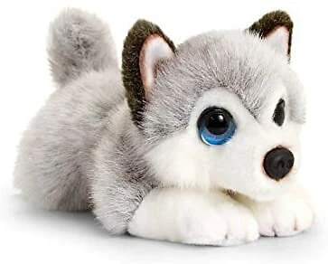 Luxury toy puppies hot sale
