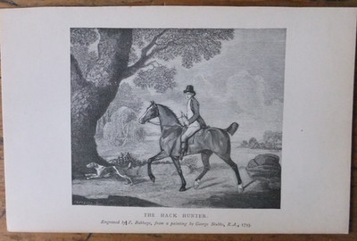 Antiker Druck GEORGE STUBBS - THE HACK HUNTER alias William Evelyn, Esq