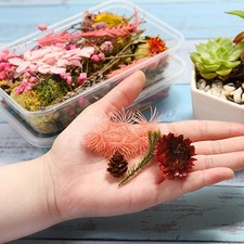 Langlebige gemischte Trockenblumenkerze f&uuml;r Harz Epoxid Zum Selbermachen Mehrzw