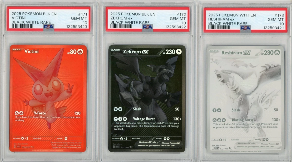 Pokémon TCG Professional Sports Authenticator (PSA) Black & White