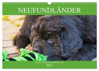 Calendar 2027 · US Version · Newfoundland - Everybody Starts Small (Wall Calenda
