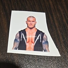 Wrestling Sticker Randy Orton Viper RKO WWE 1" Size