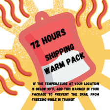 Shipping Warmer 72 Hours Snails Orders Add on Only  Snaily Snail