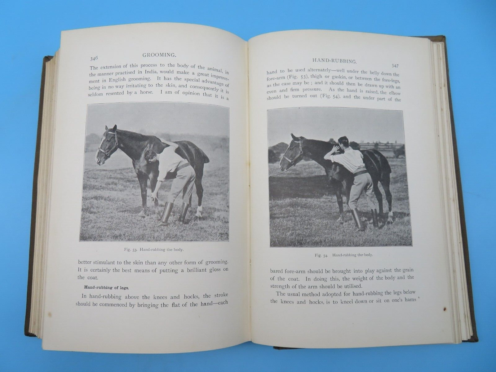 Stable Management And Exercise M Horace Hayes HB 2nd Ed 1909 Hurst And Blackett